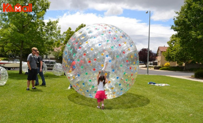 hamster zorb ball in pool 2022